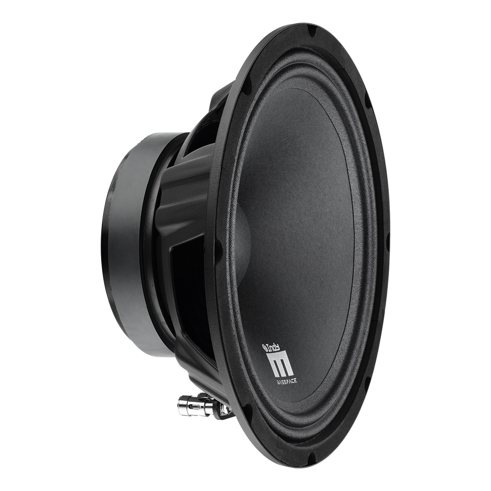 Indy M10/4 10" 25cm 4Ohm 250w RMS Pari